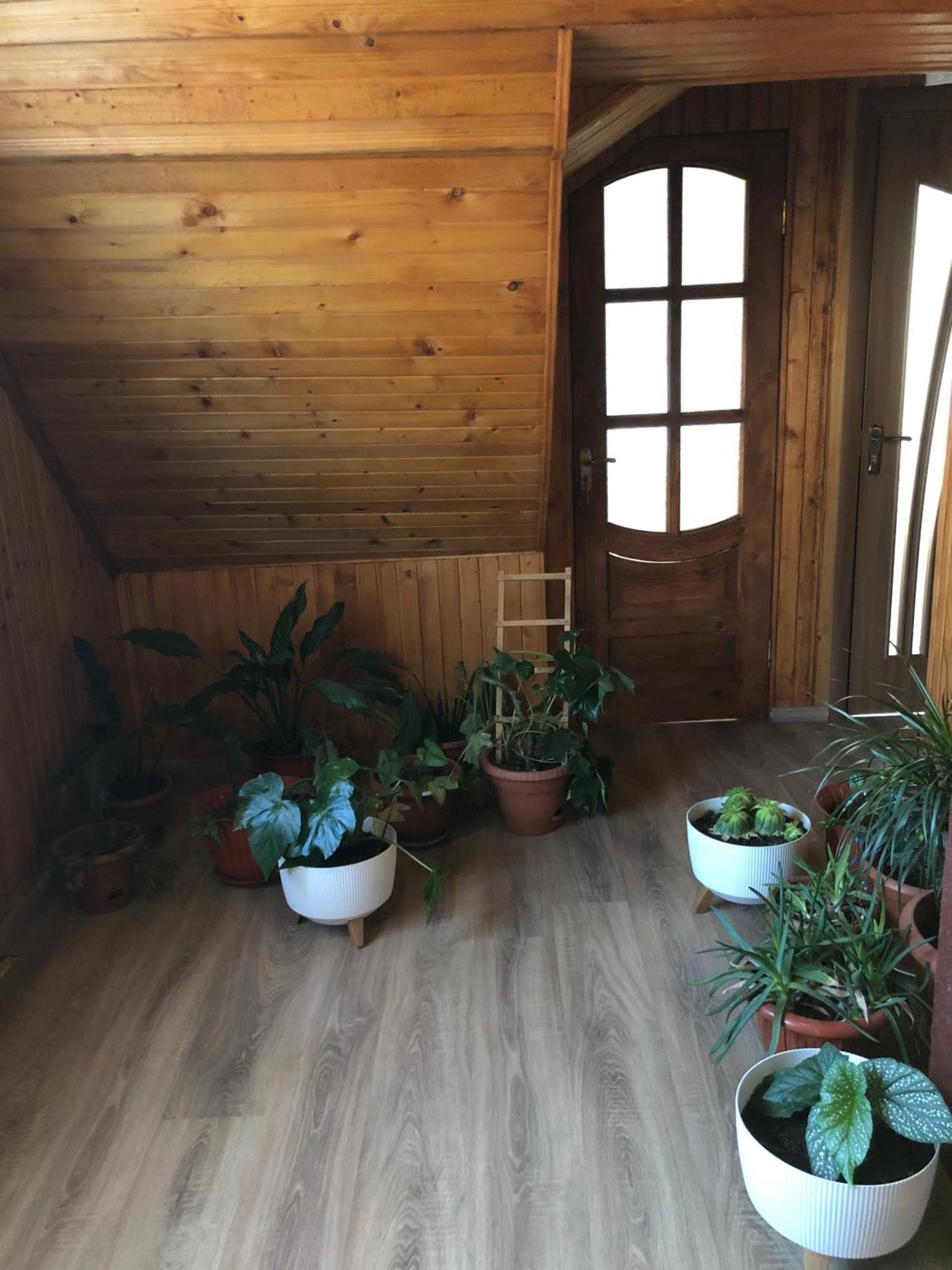 House Mold Vila Lazeshchyna Exterior foto